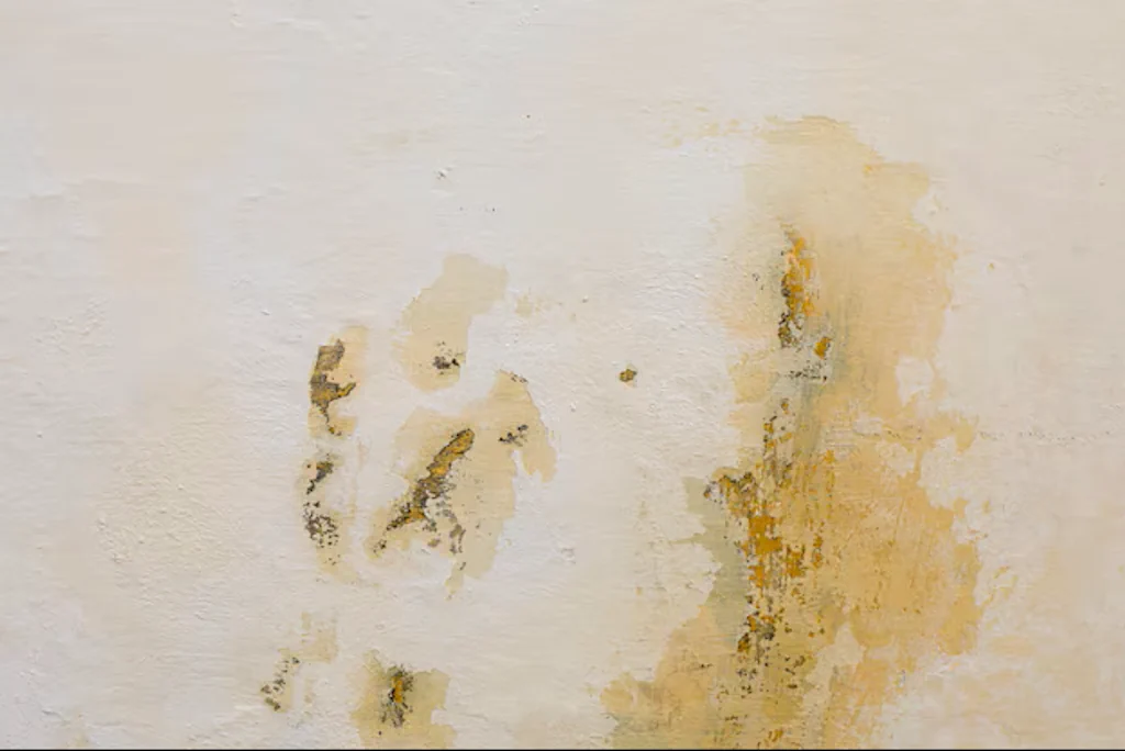 Can I Paint Over Mould Safely